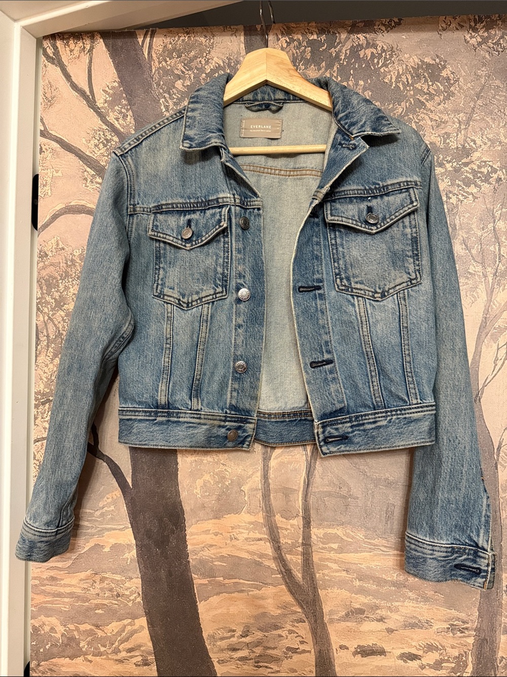 Everlane Light Wash Blue Denim Trucker Jacket